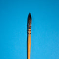 Watercolor Brush #4